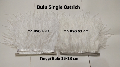 large2 BSO DNa
